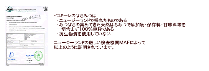 ����ʪ��̵���Ѿ���